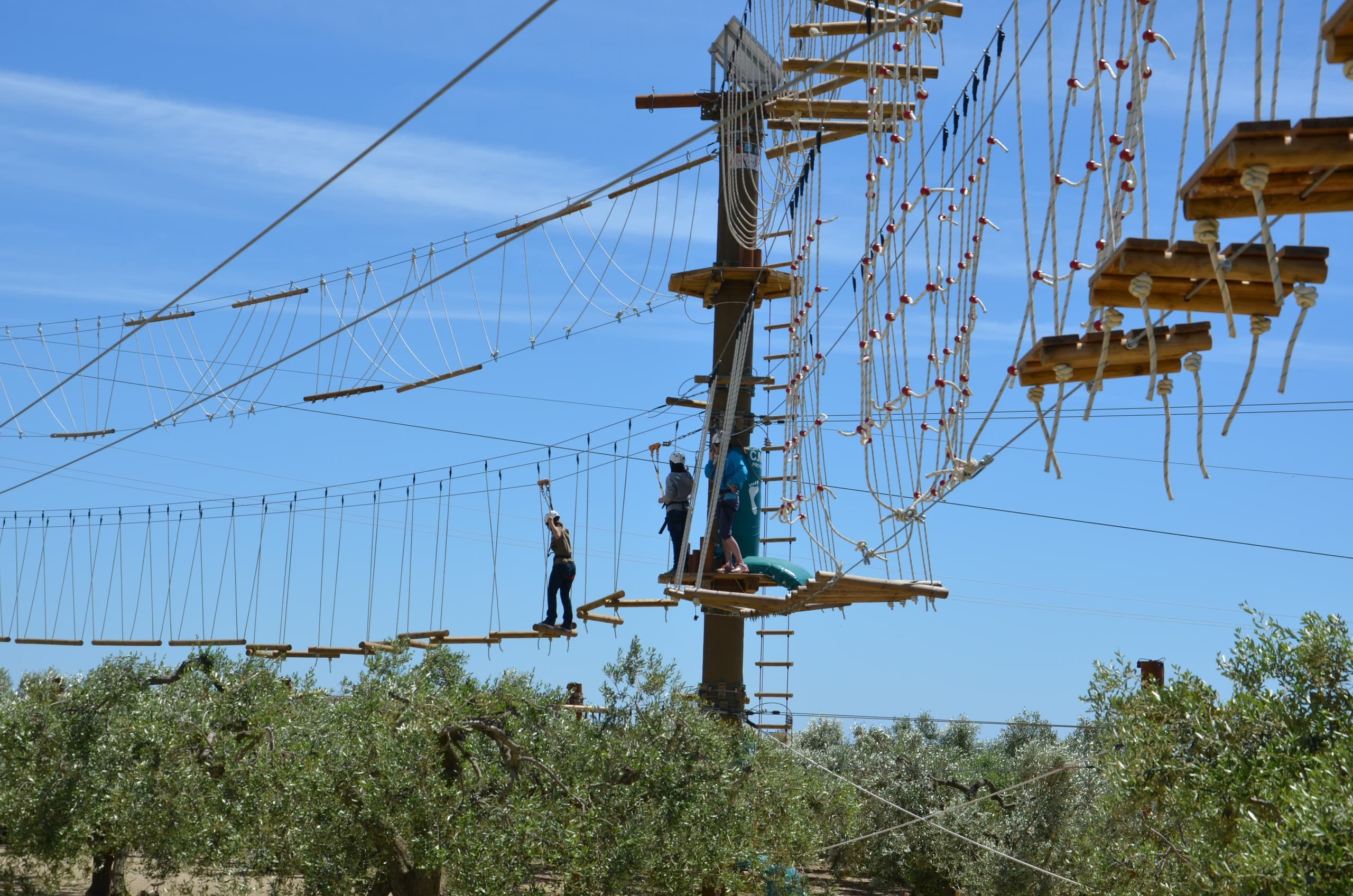 BigJump Cambrils: High-Ropes Zipline Circuit on Costa Daurada photo 2