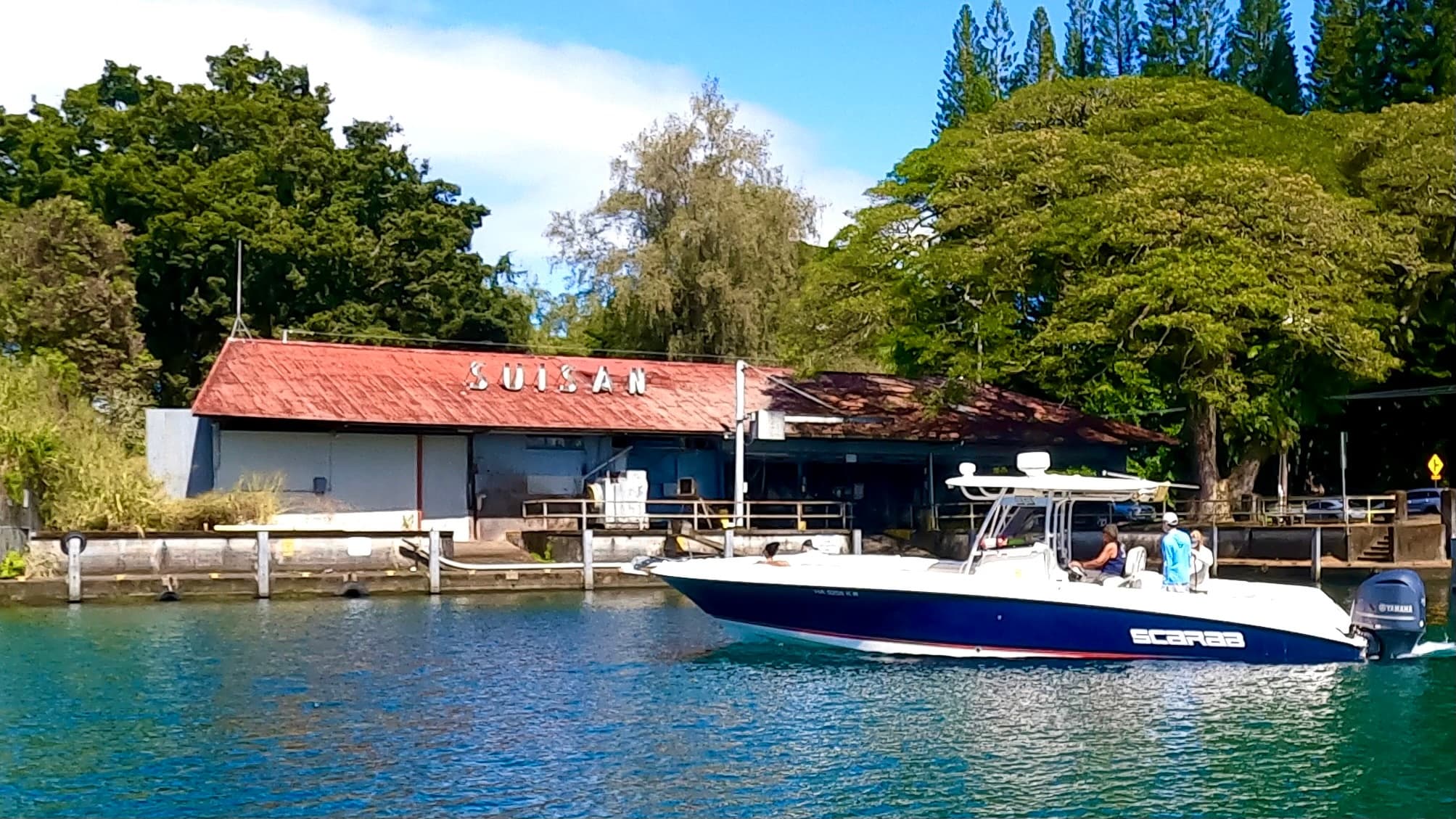 Royal Humpback Whale Experience in Hilo, Hawaii
