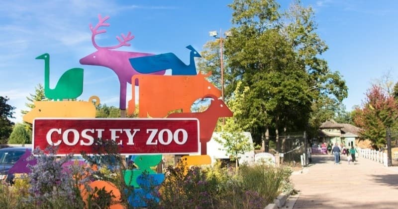 Wildlife & Family Fun at Cosley Zoo Adventure in Illinois