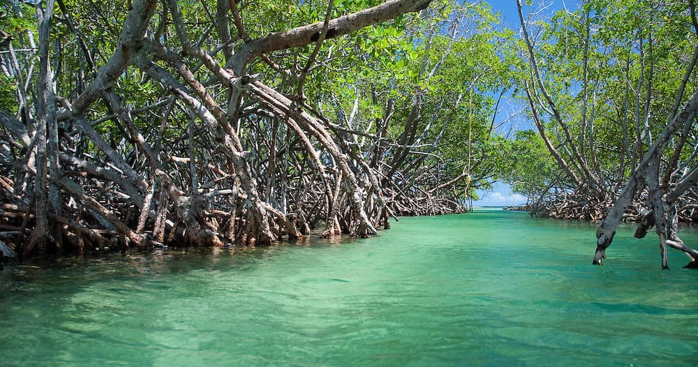 Private Island Adventure Boat Tour in La Parguera, Puerto Rico