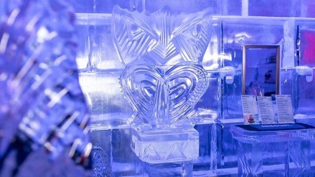 Minus 5° ICE BAR: Queenstown's Carved Ice Experience on Steamer Wharf photo 3