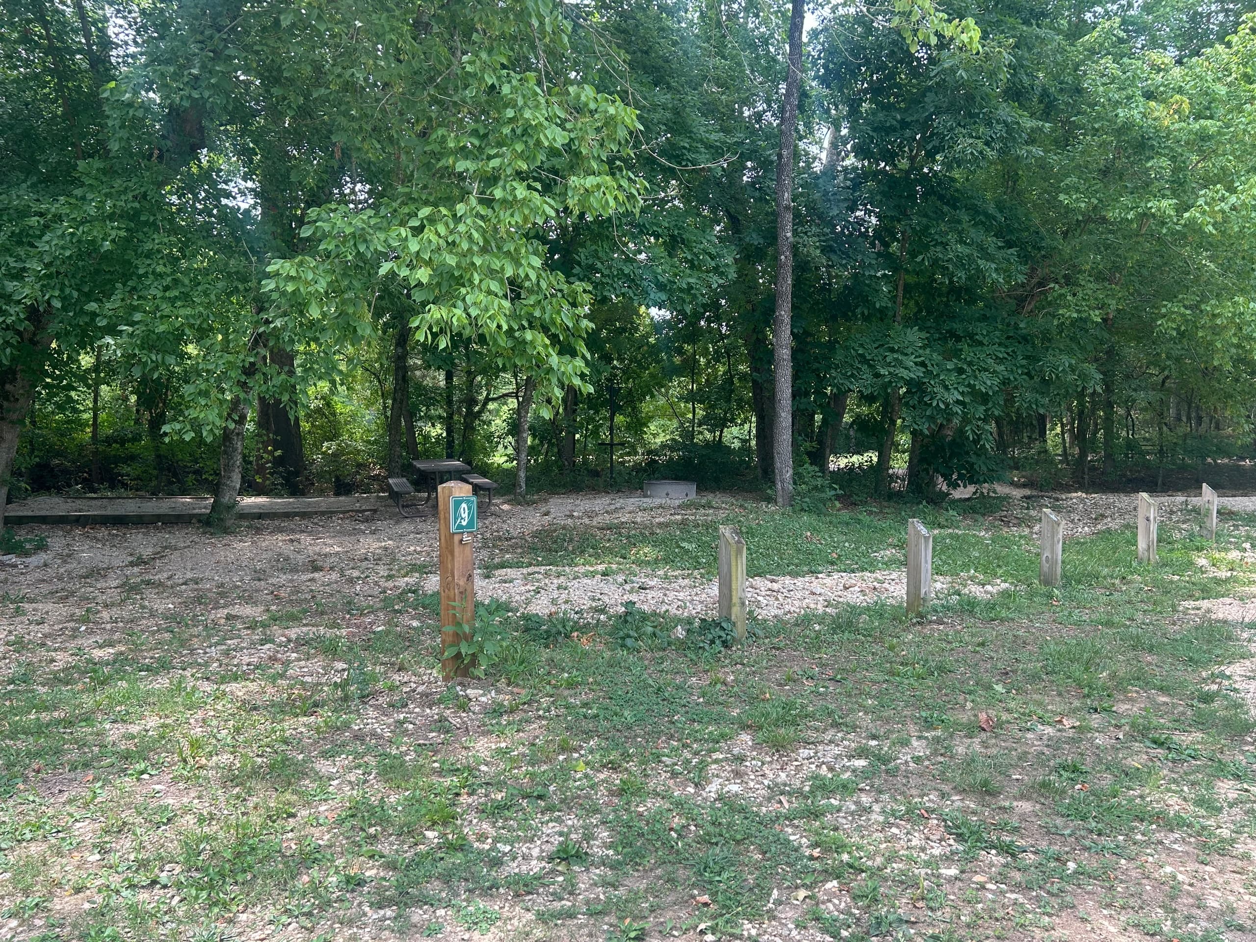Primitive Camping at Shady Grove Campsite 9 in Eureka Springs