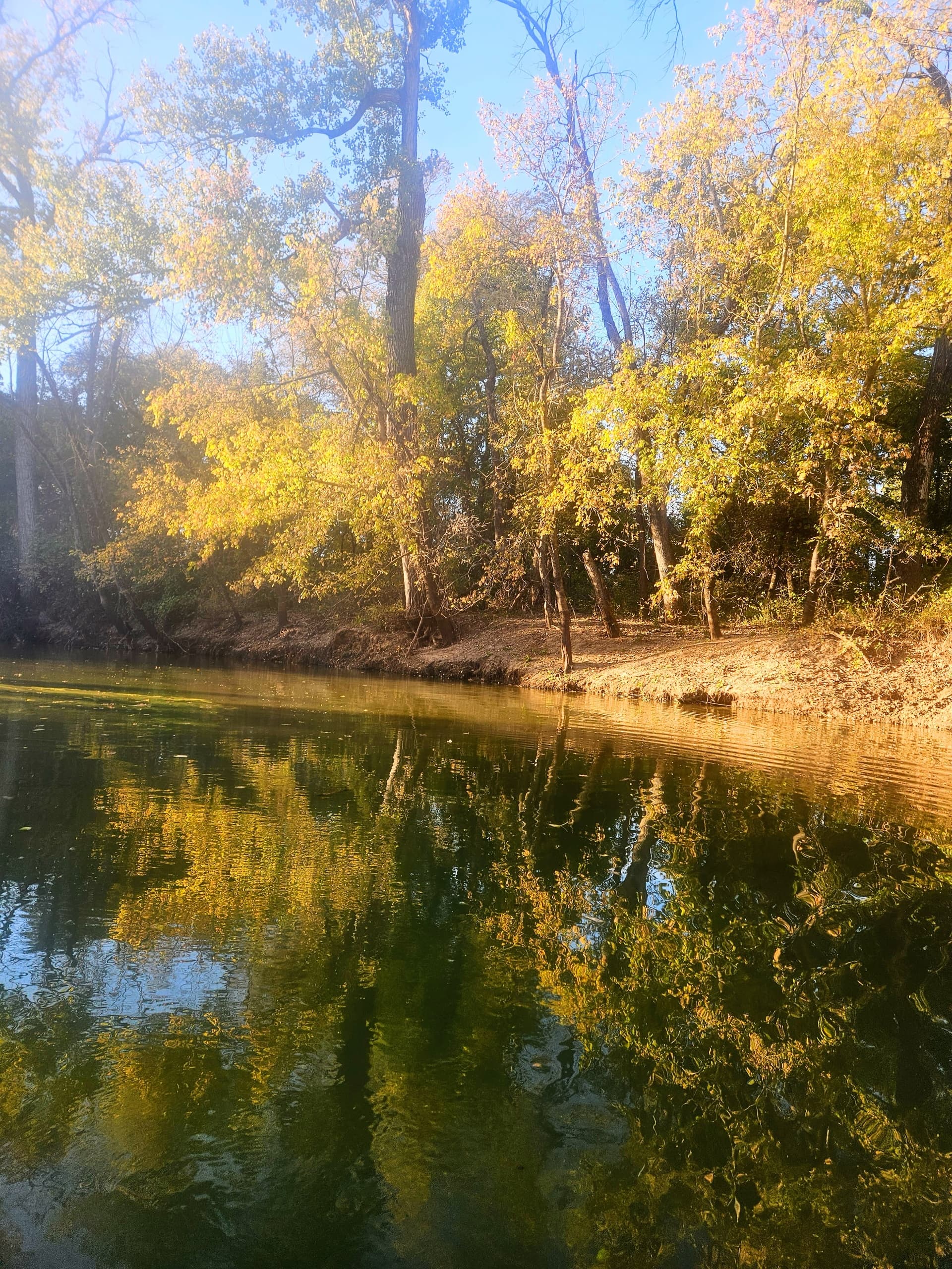 Paddle Lake Ray Roberts: 10-Mile Wildlife and Team-Building Paddle from FM428 photo 1