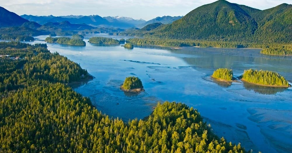 Aerial coastal archipelago with forested islands and waterways