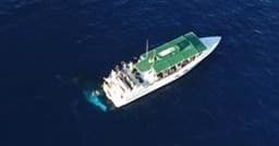 Private Humpback Whale & Dolphin Tour in Lahaina, Hawaii