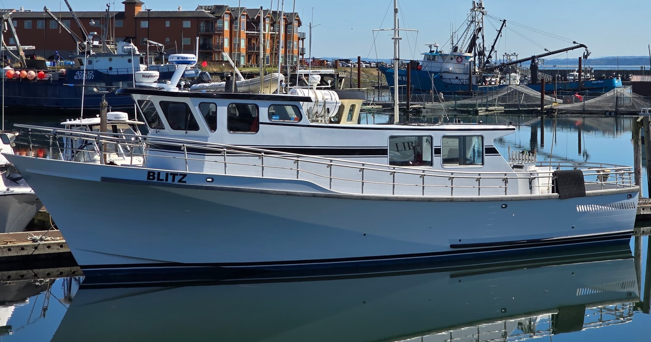 Pelagic Birding Off Westport: Deep Water Canyon Seabird & Marine Life Safari