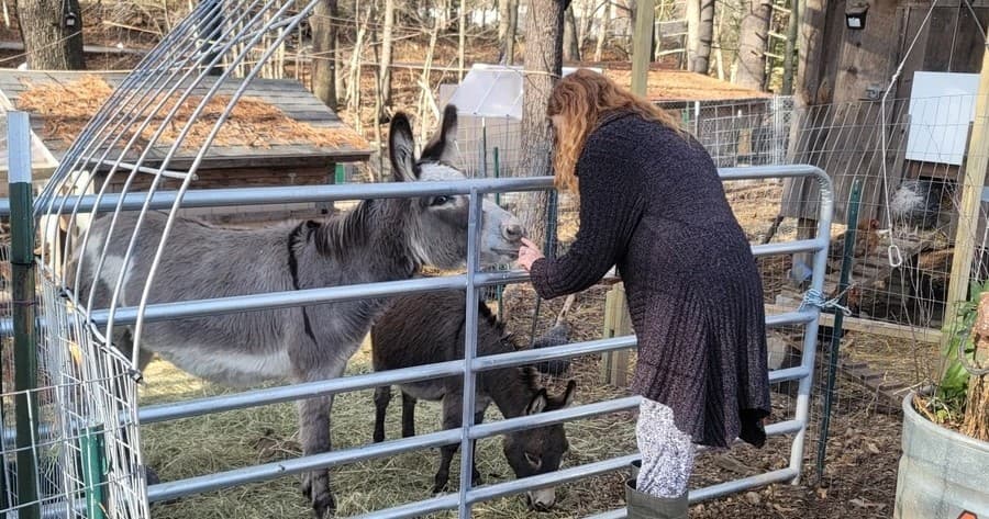 Animal Sanctuary Tour in Derry, New Hampshire
