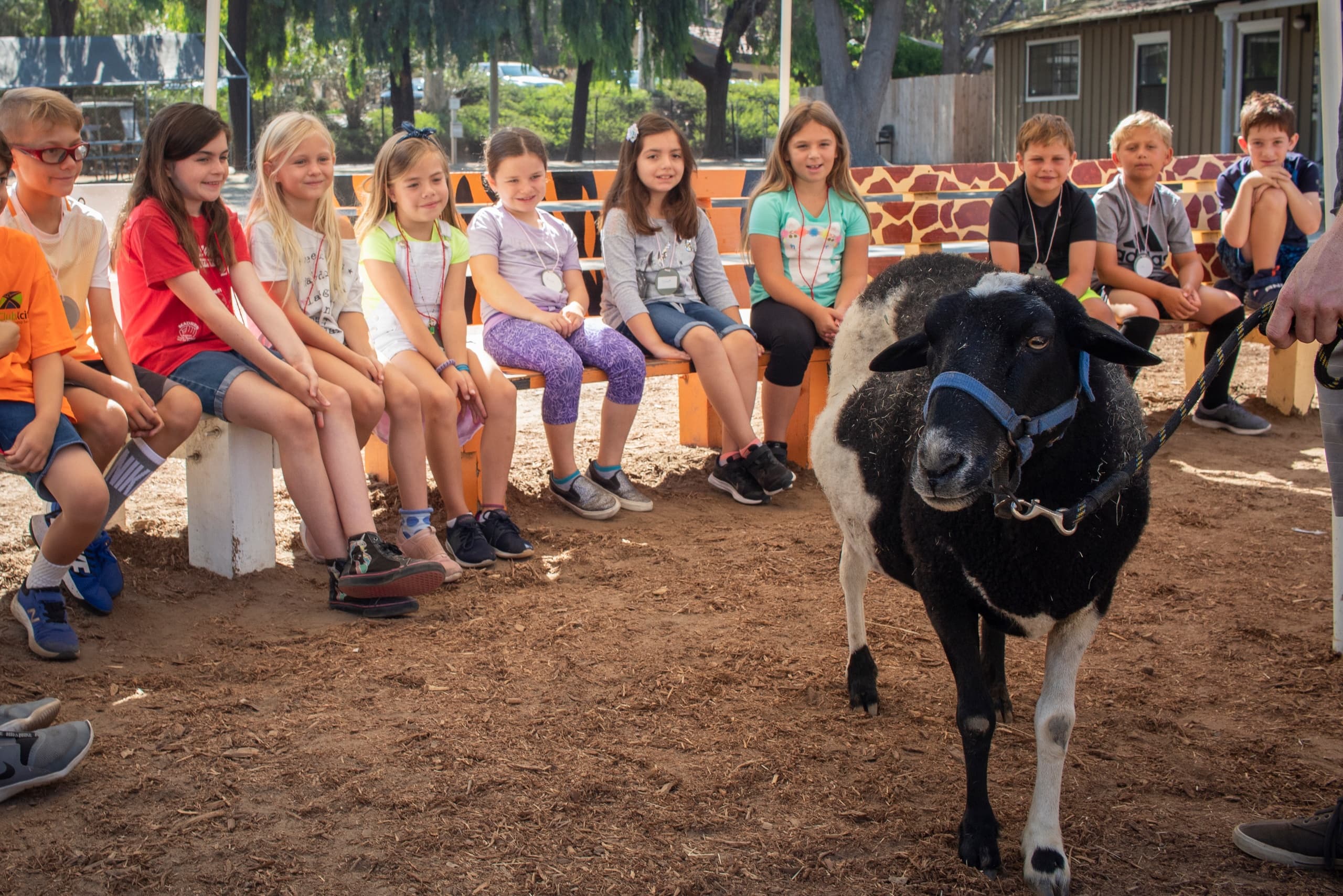 Onsite Field Trips with Animals in Del Mar, CA