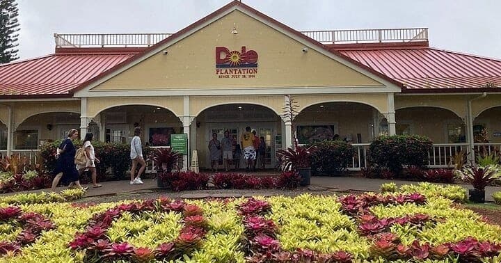 Private VIP Limousine Tour Dole Plantation & the North Shore | Private in KAPOLEI, Hawaii