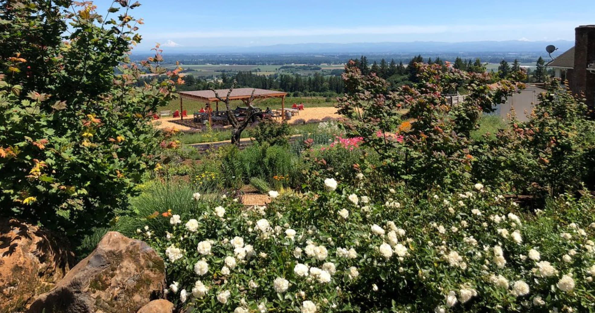 Willamette Valley 6-Hour Private Wine Tour Experience