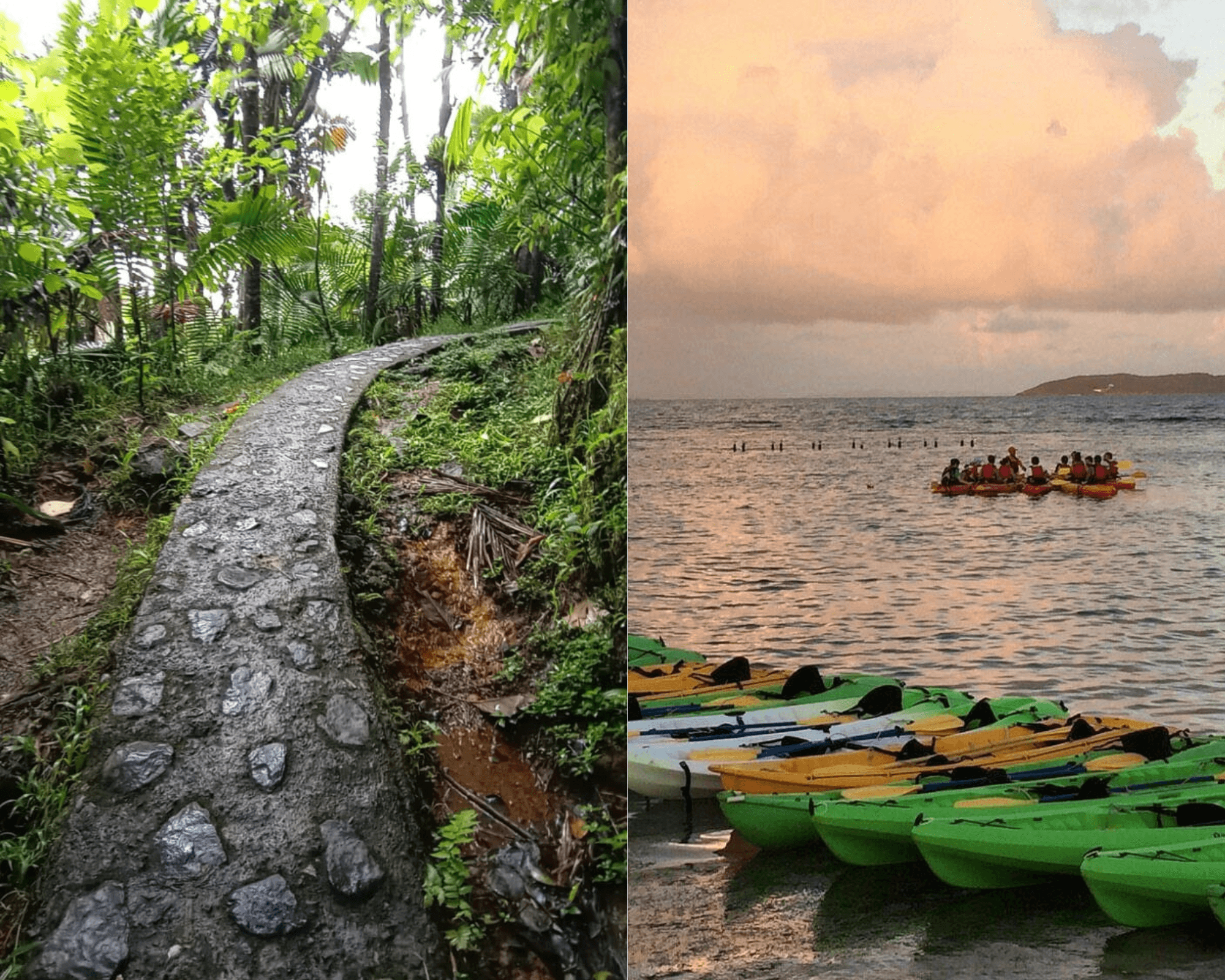 Explore El Yunque Rainforest and Puerto Rico’s Bioluminescent Bay: A Day of Natural Wonders
