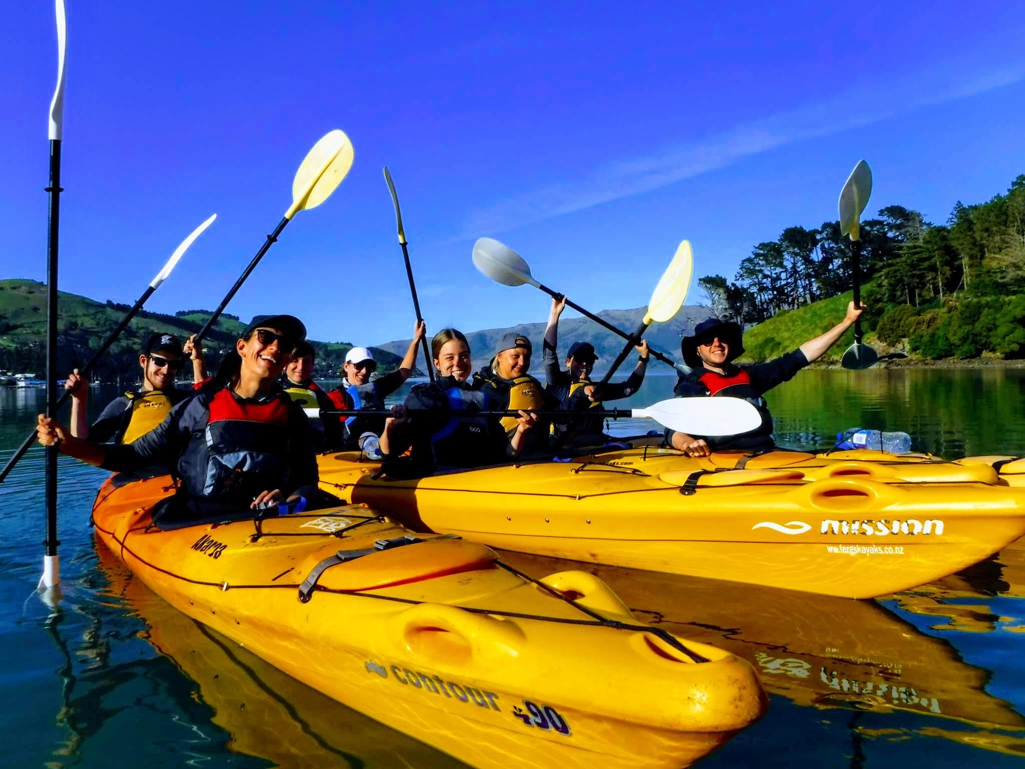 Sea Kayaking Adventures with Akaroa Guided Kayak Safari