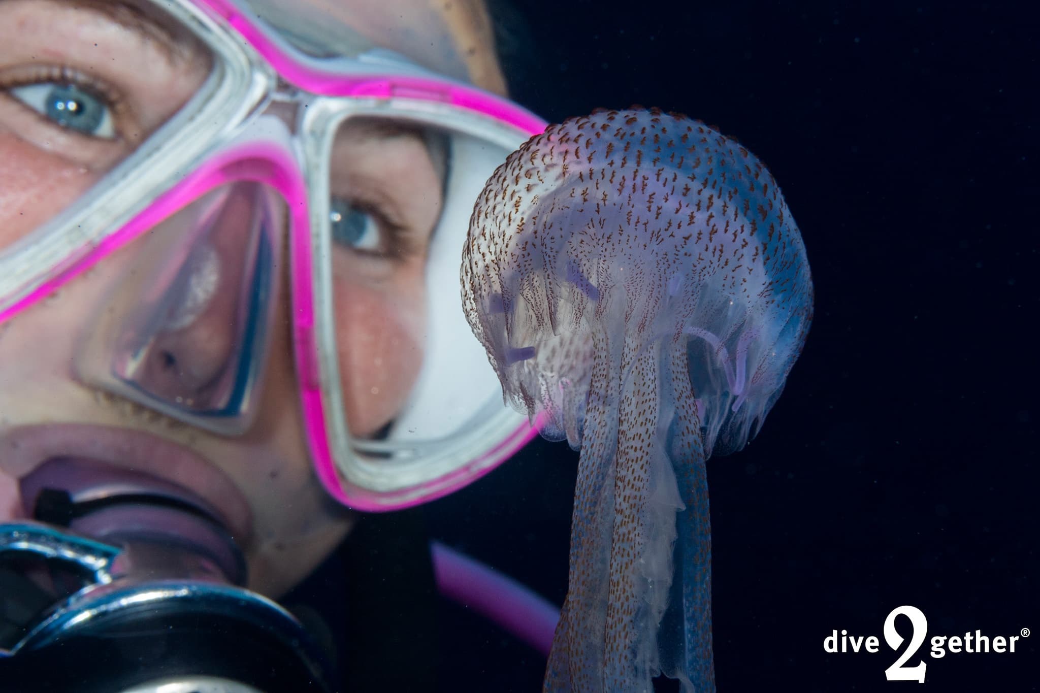 Dive with a Marine Biologist: AWARE Fish ID in Plakias, Crete photo 3