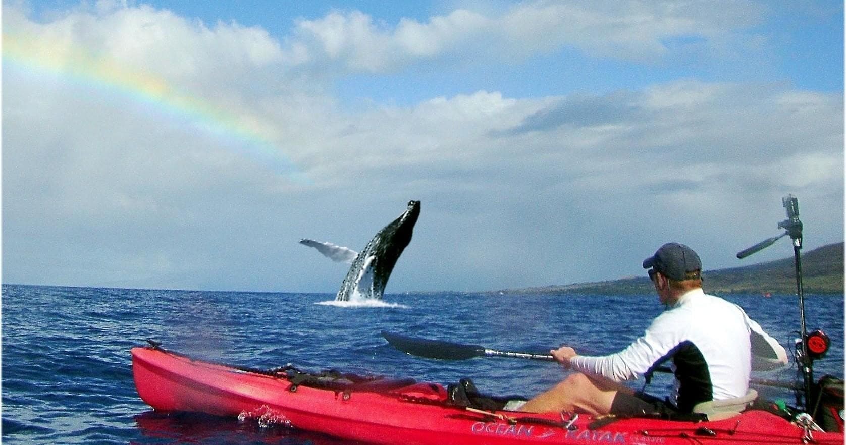 Kayaker watching humpback whale breach under rainbow offshore