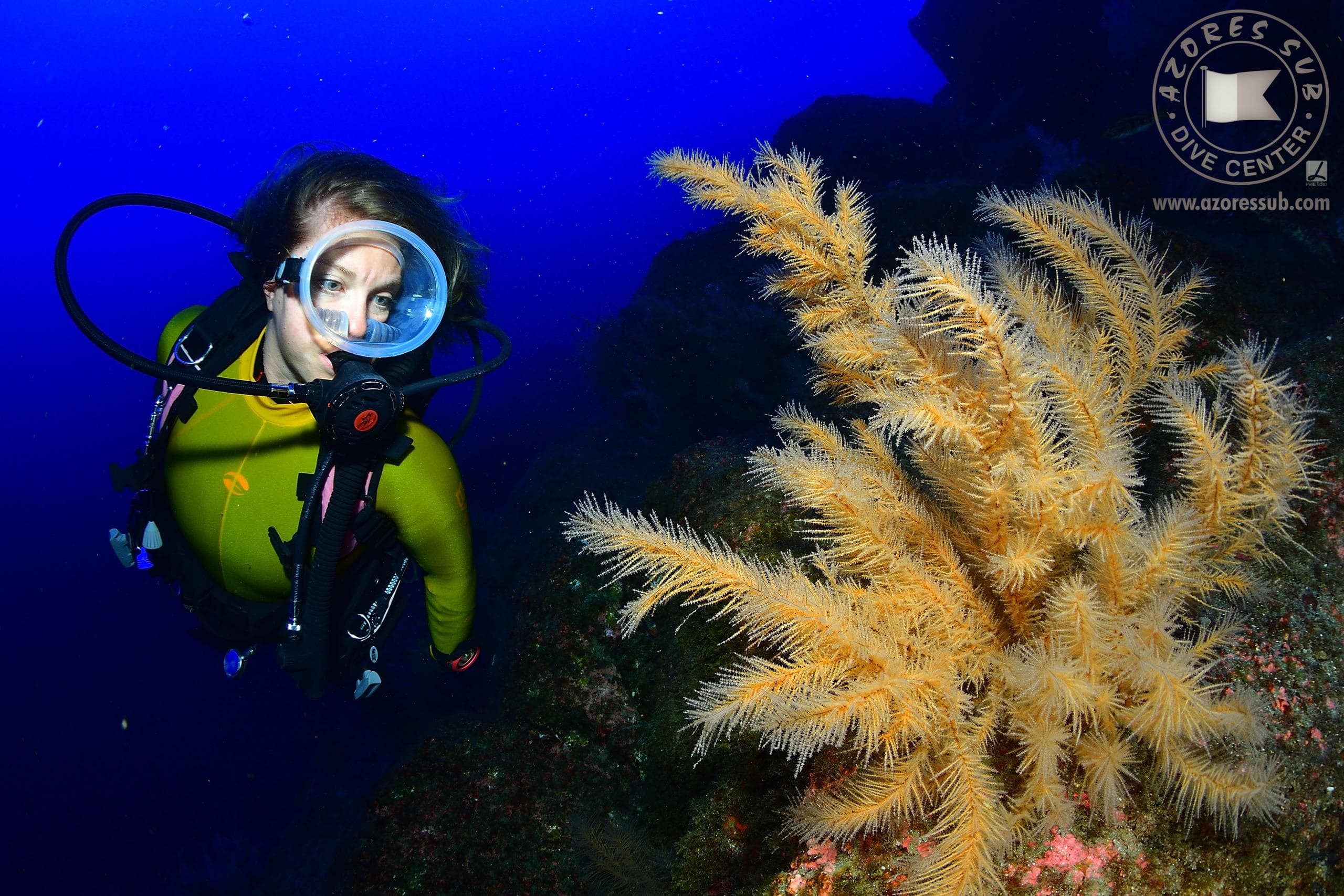 Scuba Diving Adventure with Azores Sub on São Miguel Island