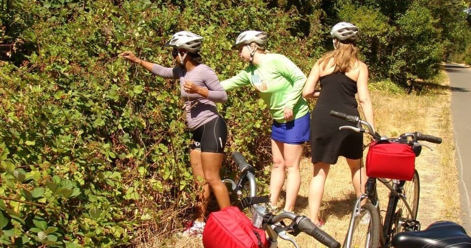 Wine Tasting & Cycling with Adventures in Cycling in Sonoma Valley