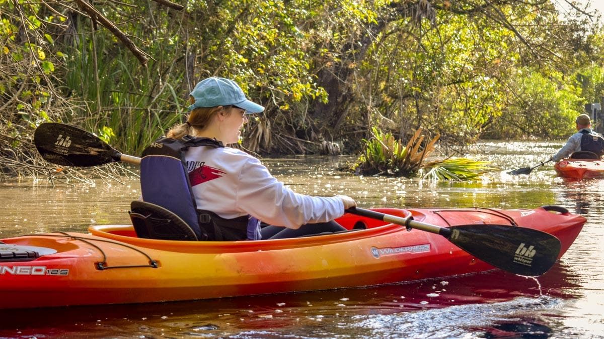 Guided Kayak Tour of the Everglades with Everglades Adventures Kayak & Eco Tours