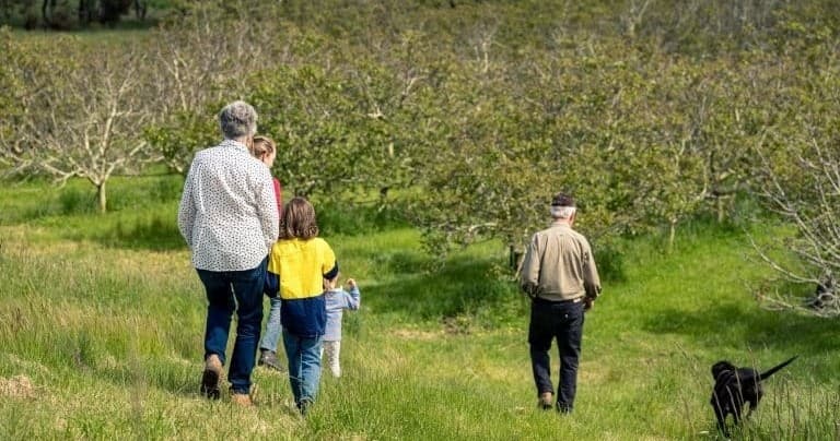 Family walking through walnut orchard on grassy farm trail