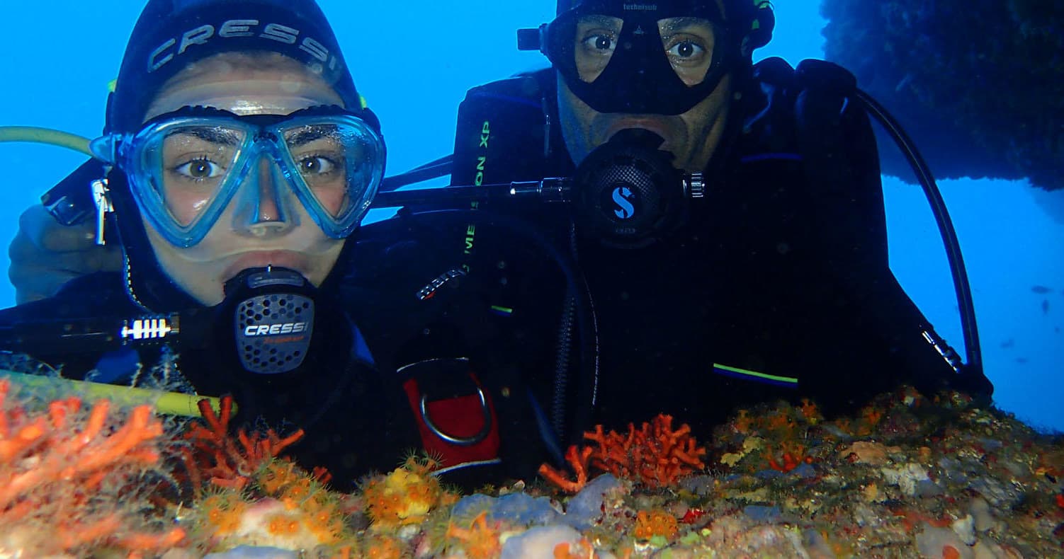 Scuba divers exploring colorful reef underwater, close-up