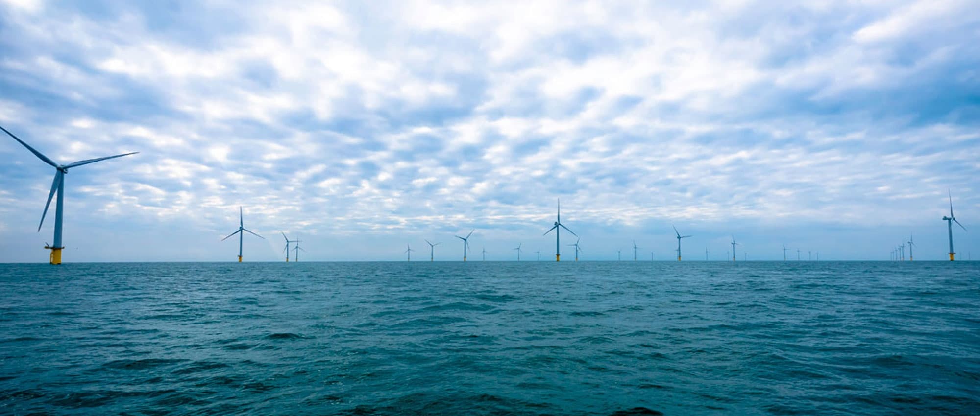 Water-Activities: Rampion Windfarm Excursion from Eastbourne