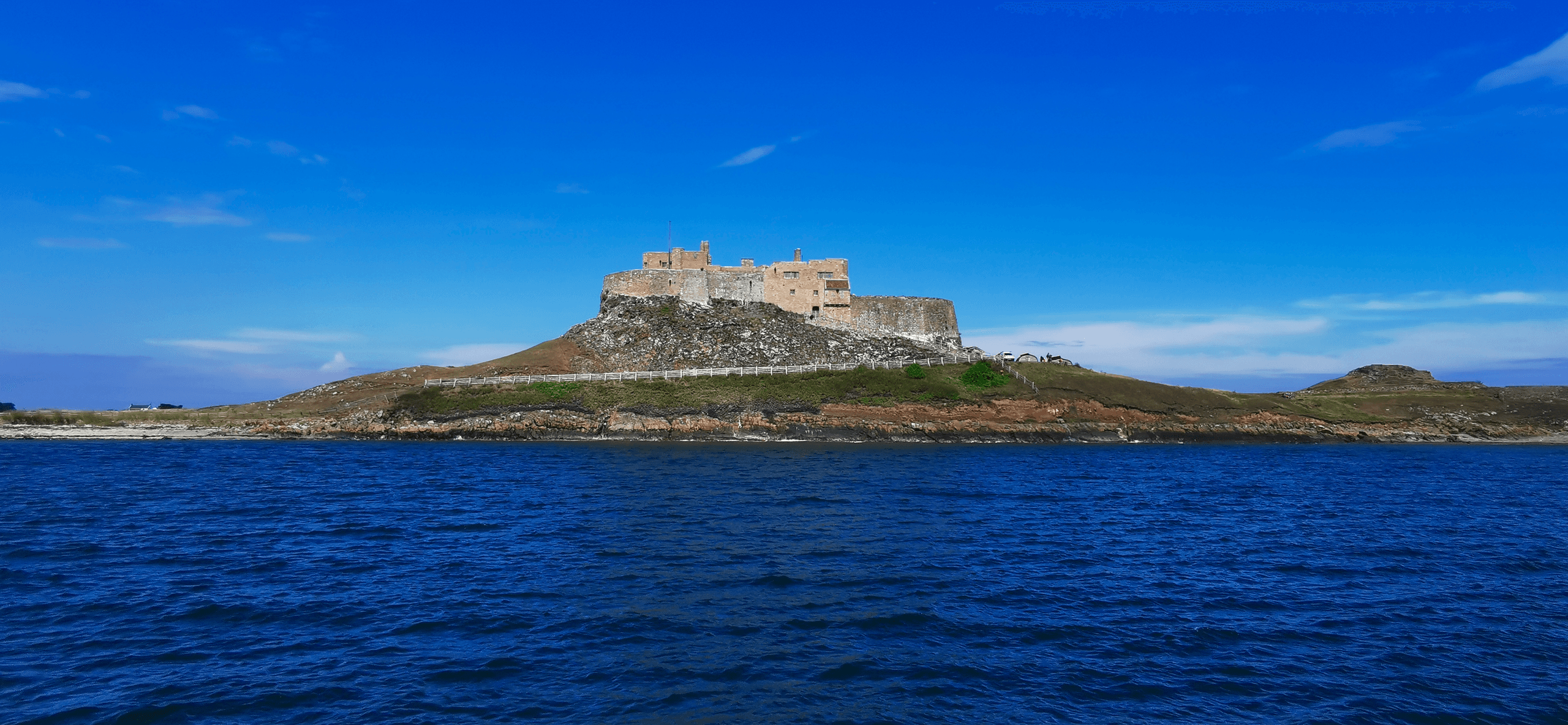 Explore the Farne Islands: Grey Seal Cruises and Seabird Spectacles