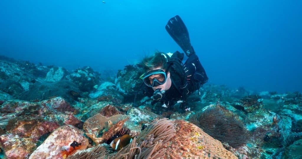 Dive Into PADI Scuba at Jetty Dive Centre, Coffs Harbour