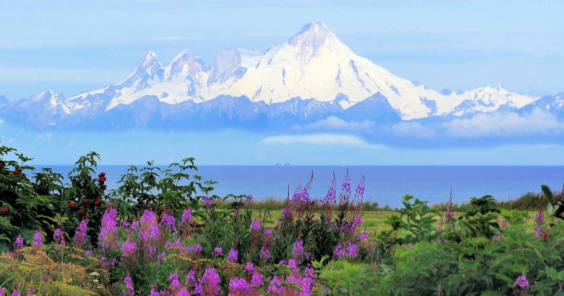 Wild Coast Alaska team