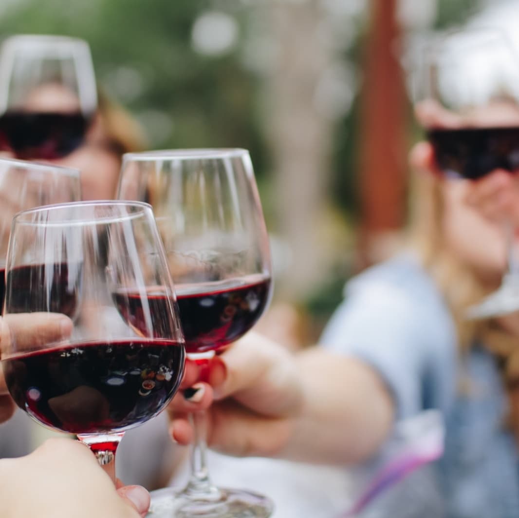 Discover the Highlands Wine Tasting Tours: An Exclusive Sip Through North Carolina’s Mountain Vineyards