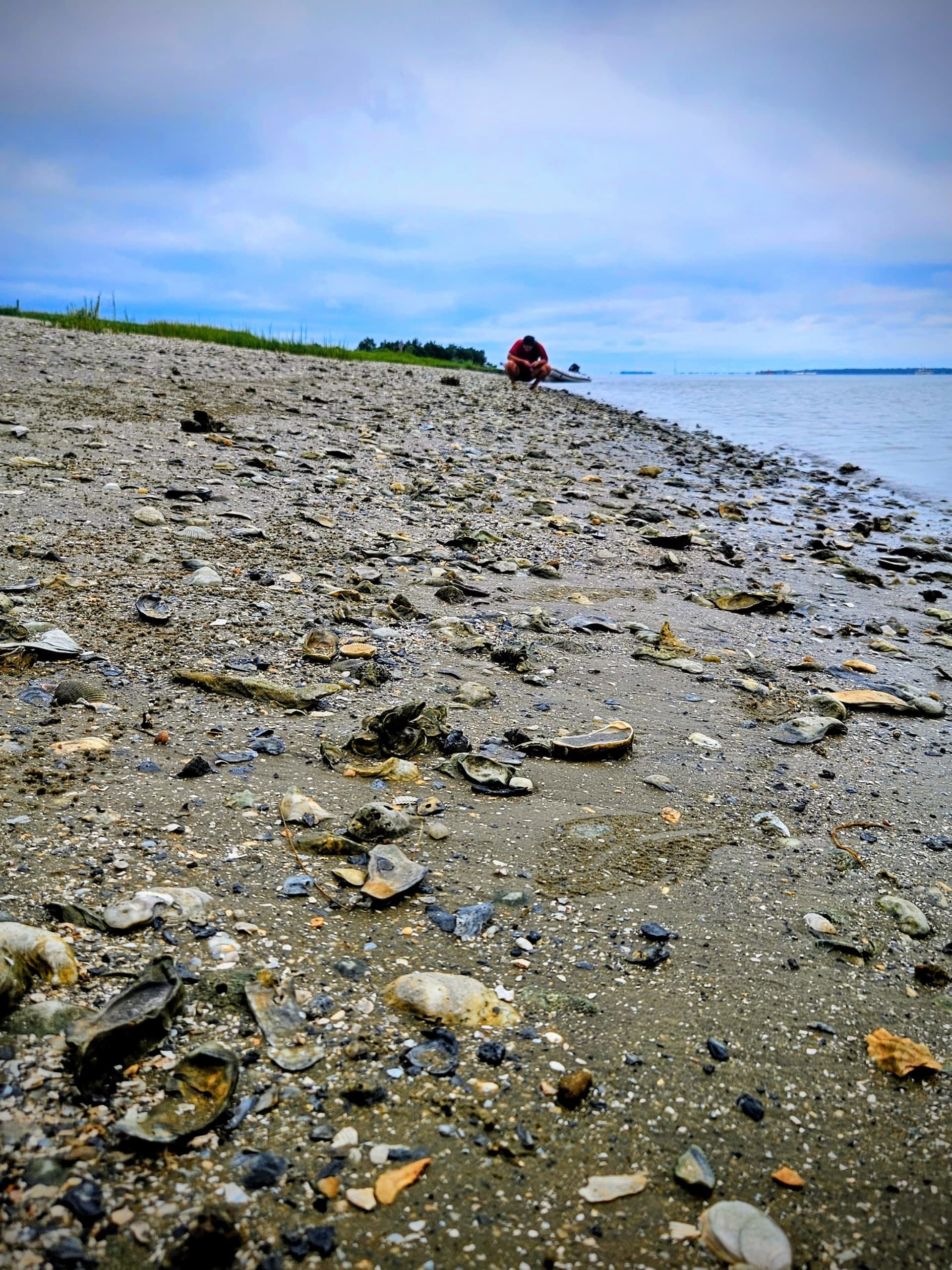 Fossil Hunting with Sundog Sailing Charleston