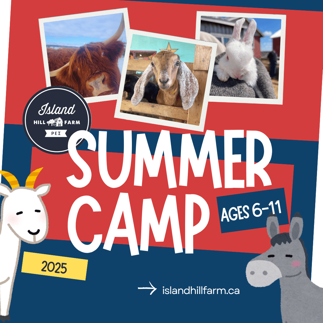 Family Outdoor Adventure at Island Hill Farm Summer Camp