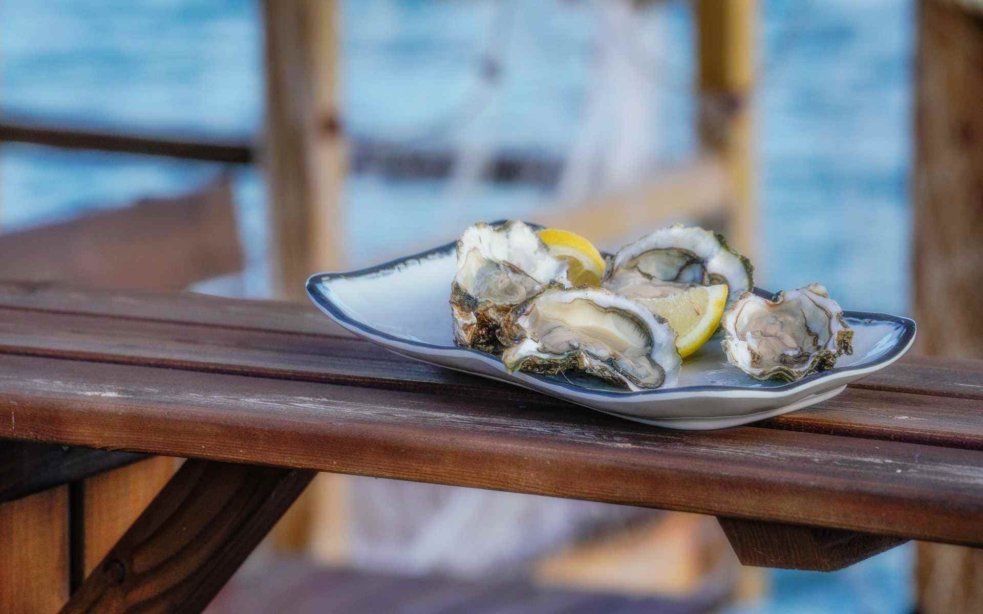 Seafood Tasting & Cultural Tour at Nautic Parc Costa Daurada