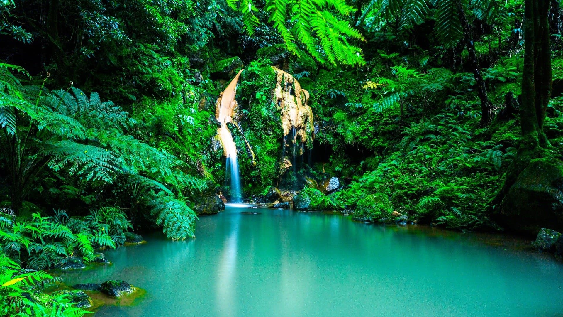 São Miguel Highlights with Azorean Tales Adventure