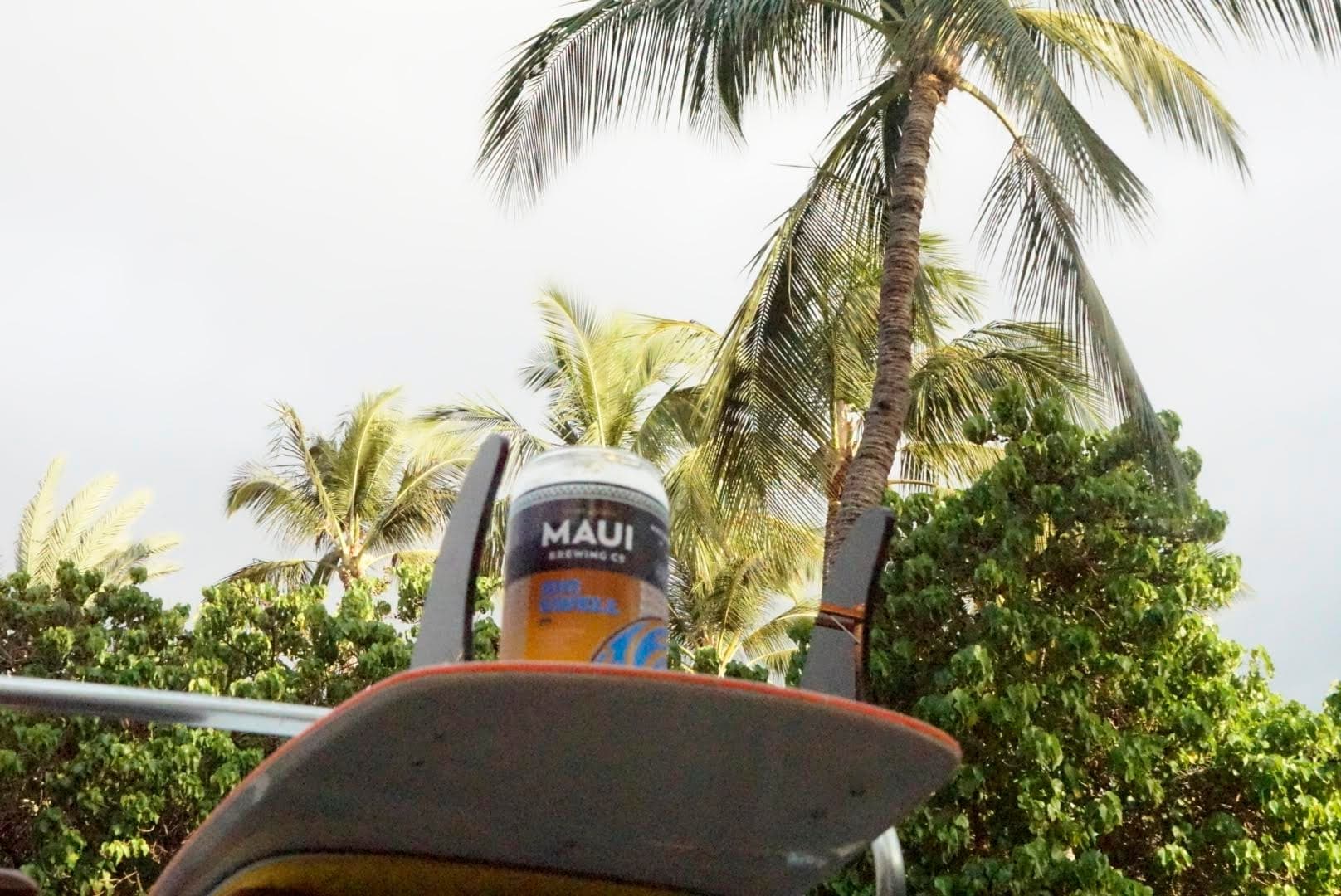 Tropical beach chair with can of beer under palm trees