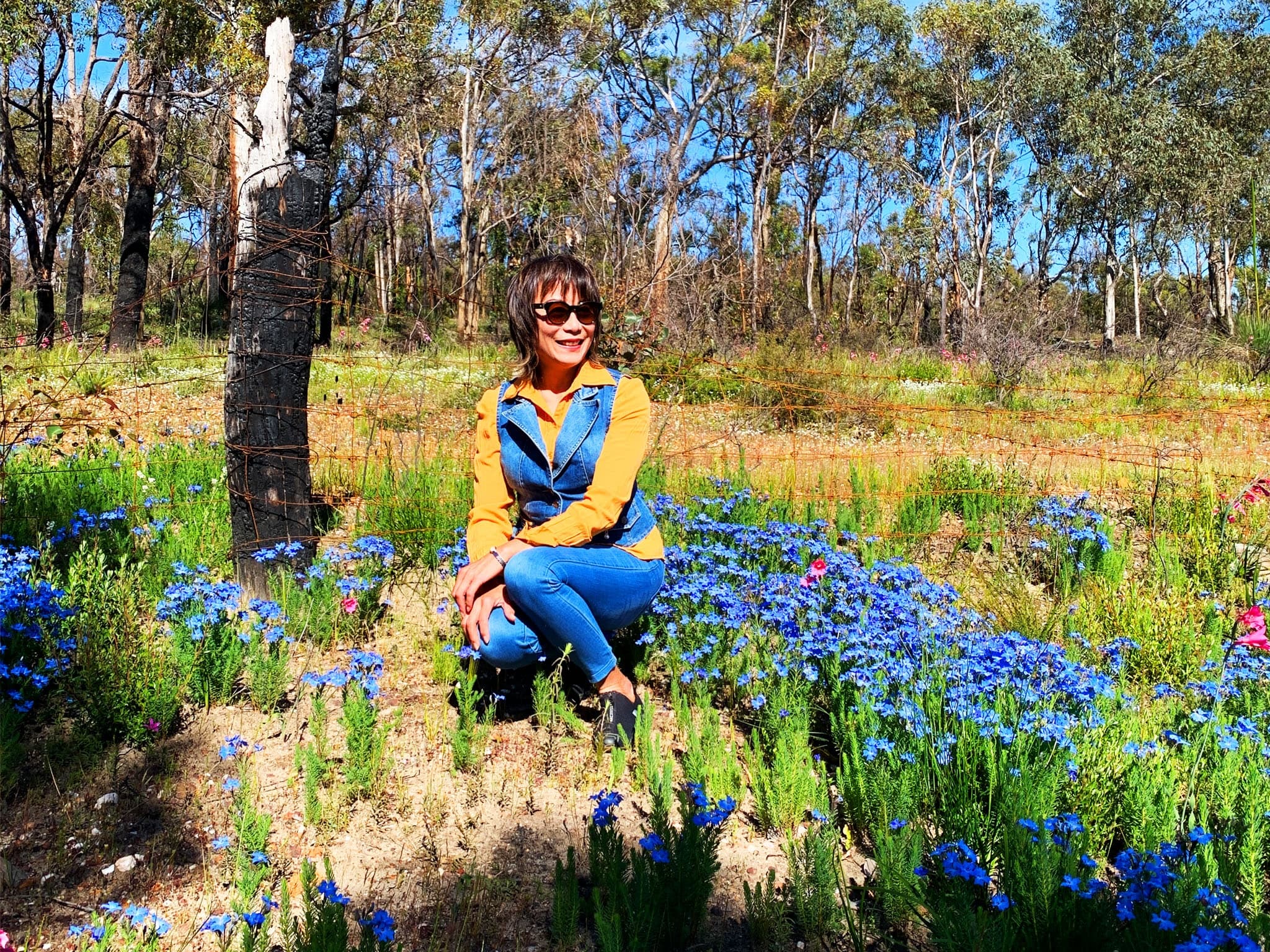 Perth Wildflower Drives and Walks: Private Day Tours in the Perth Hills photo 4