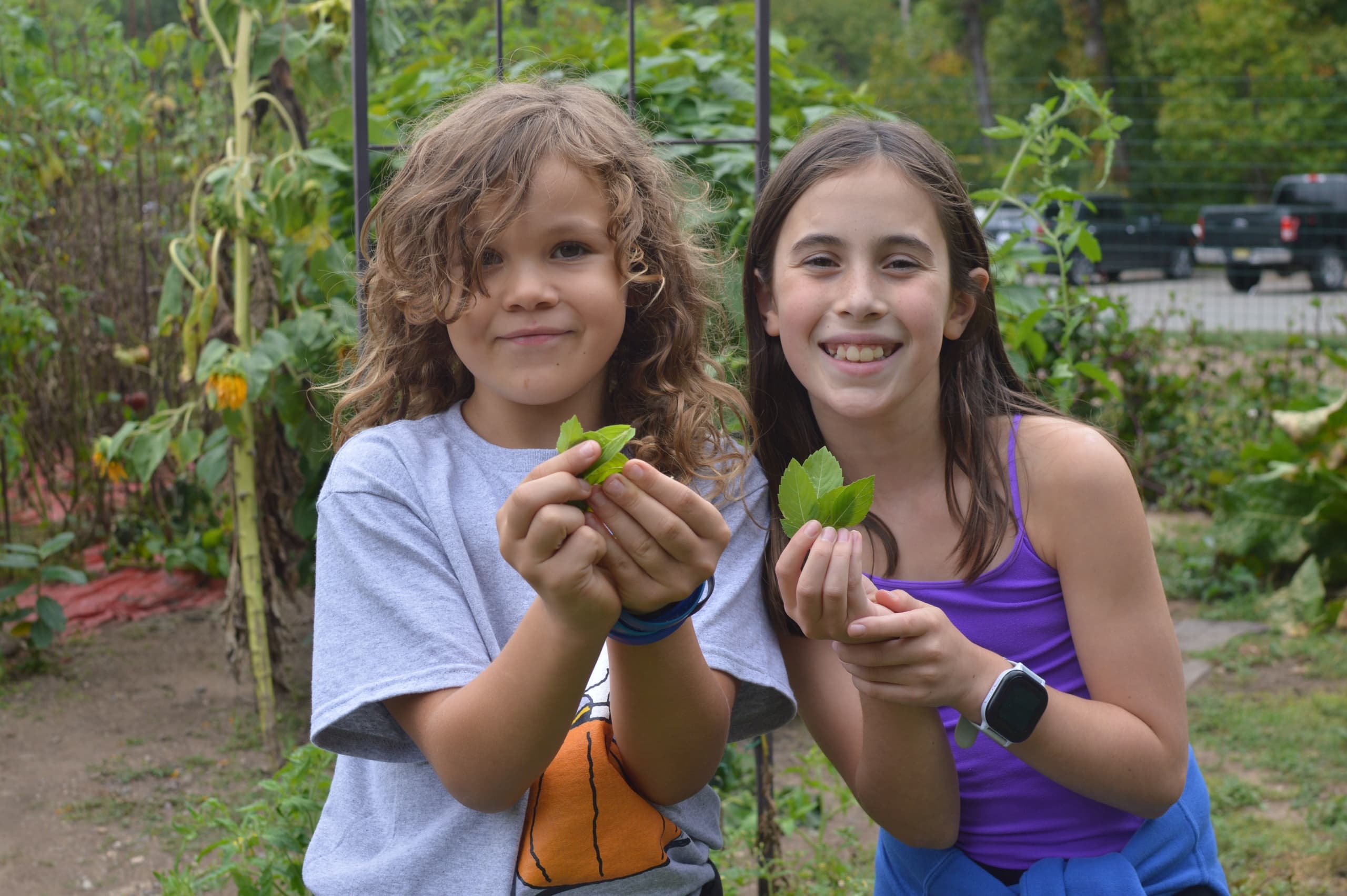Youth Outdoor Cooking & Gardening at HealthBarn USA