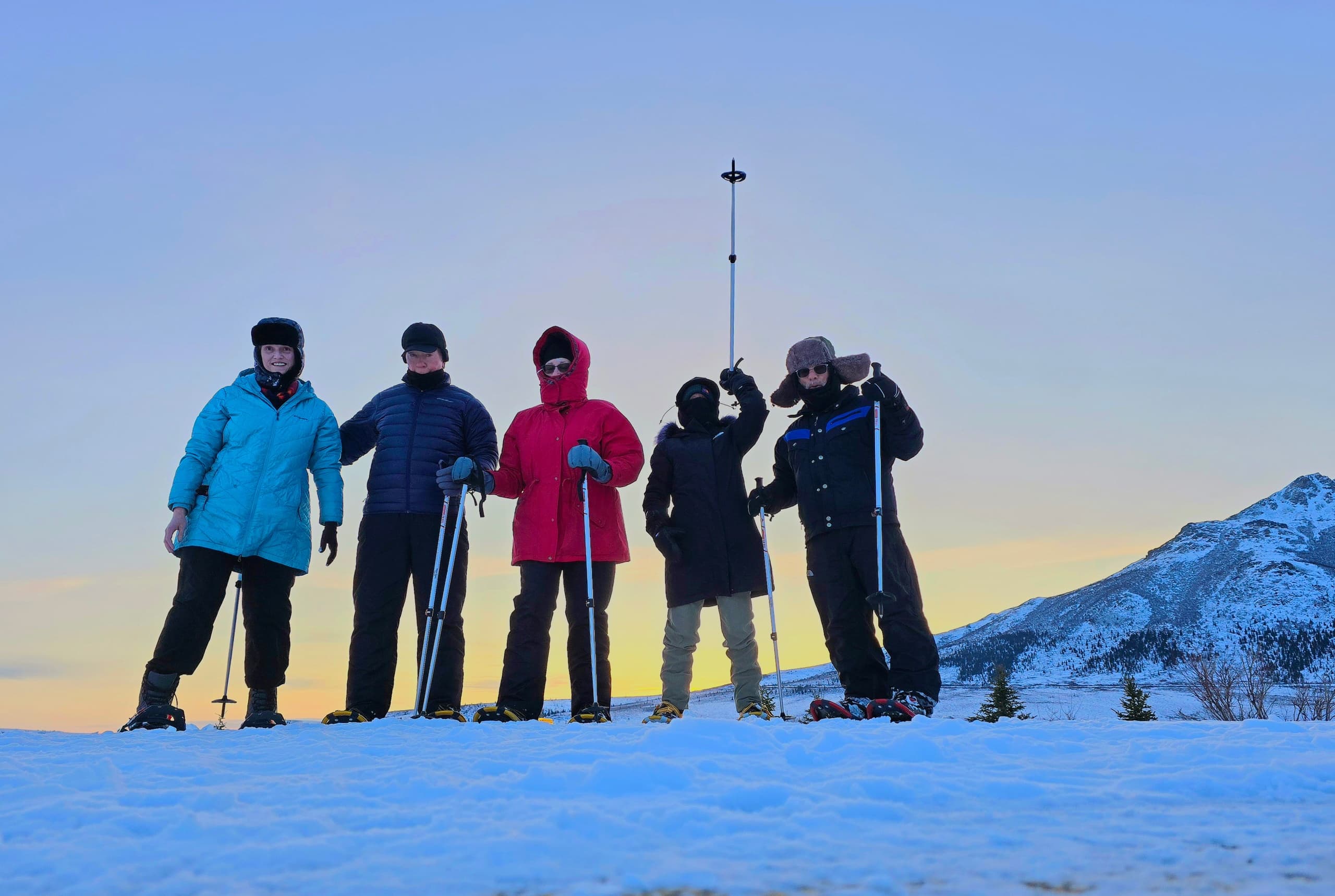 Snowshoe Forest Walks at Sluice Box Sled Dogs — Ester, AK Winter Wildlife Tours
