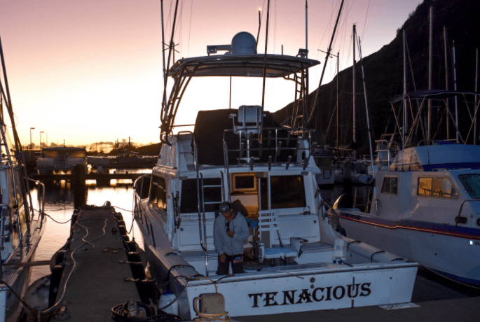Hawaiian Ocean Adventures with Imua Fishing Charters Kauai in Lihue