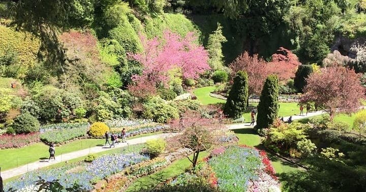 Colorful botanical garden terraces with winding paths and blooms