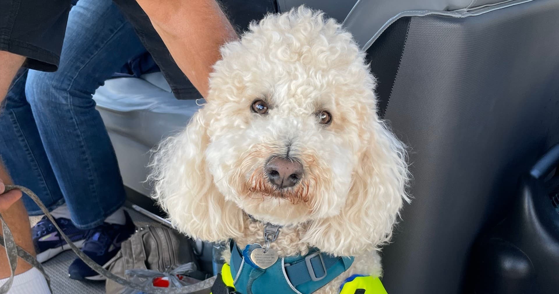 3 Hour Bring Fido - Dog Friendly 30ft Deluxe Pontoon Onboard Restroom | Boat Tour in Homosassa, Florida