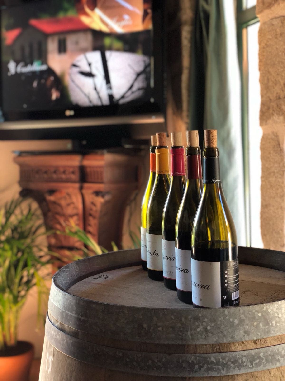 Boat & Tasting on the Sil: Scenic Cruise and Algueira Winery Visit photo 4