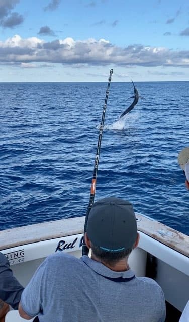 Cairns Full-Day Marlin & Pelagic Charter — 12-Hour Heavy Tackle Adventure photo 3