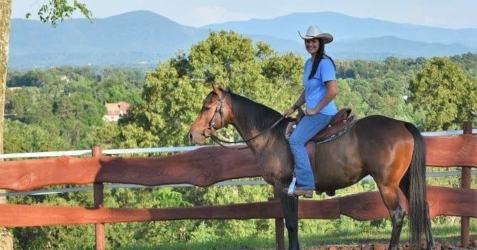 Ocoee Horseride team