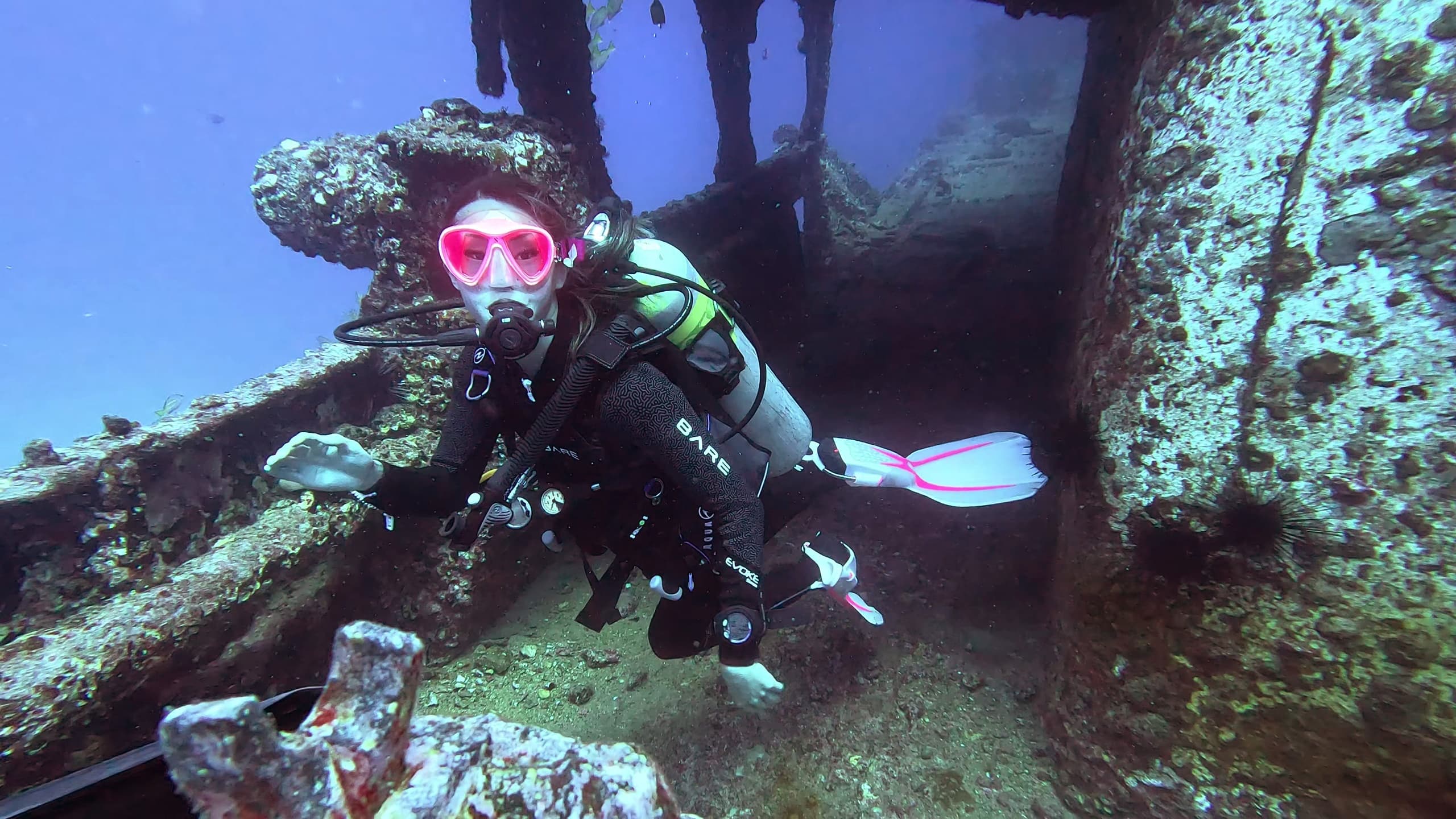 Dusk and Deep: Sea Tiger Double-Dip & Night Reef Dive in Honolulu photo 2