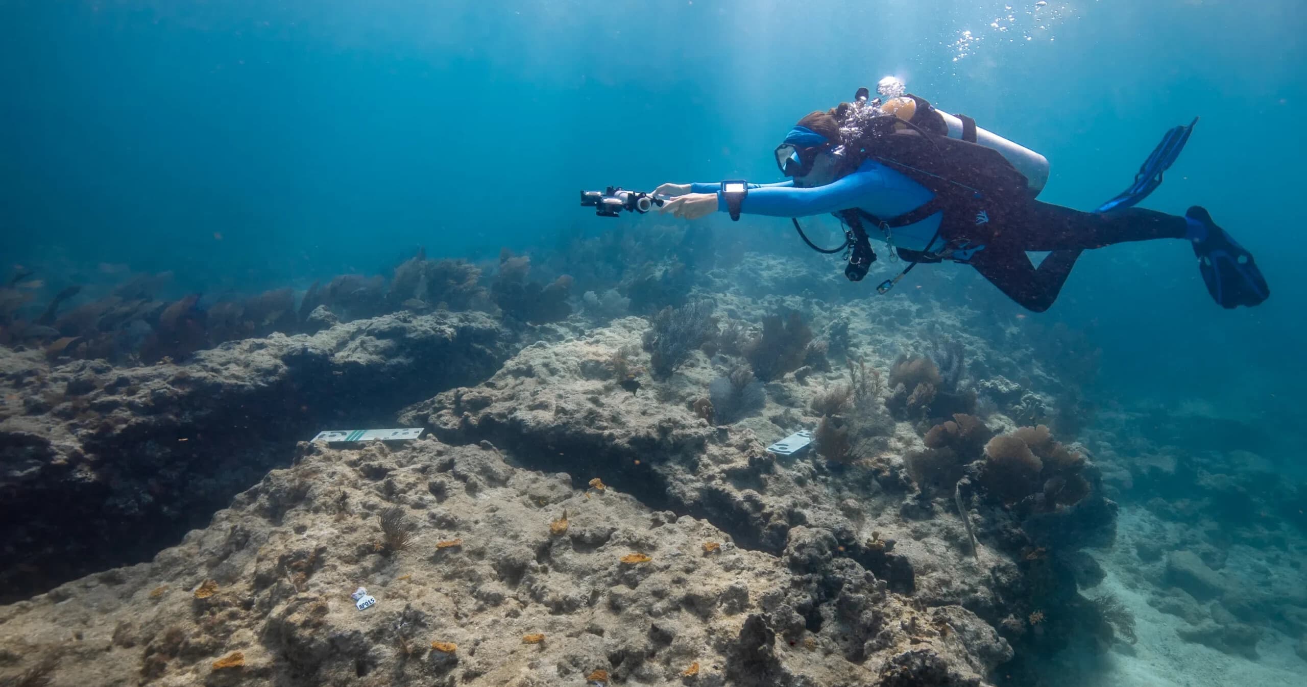 Scuba in Tavernier, Florida