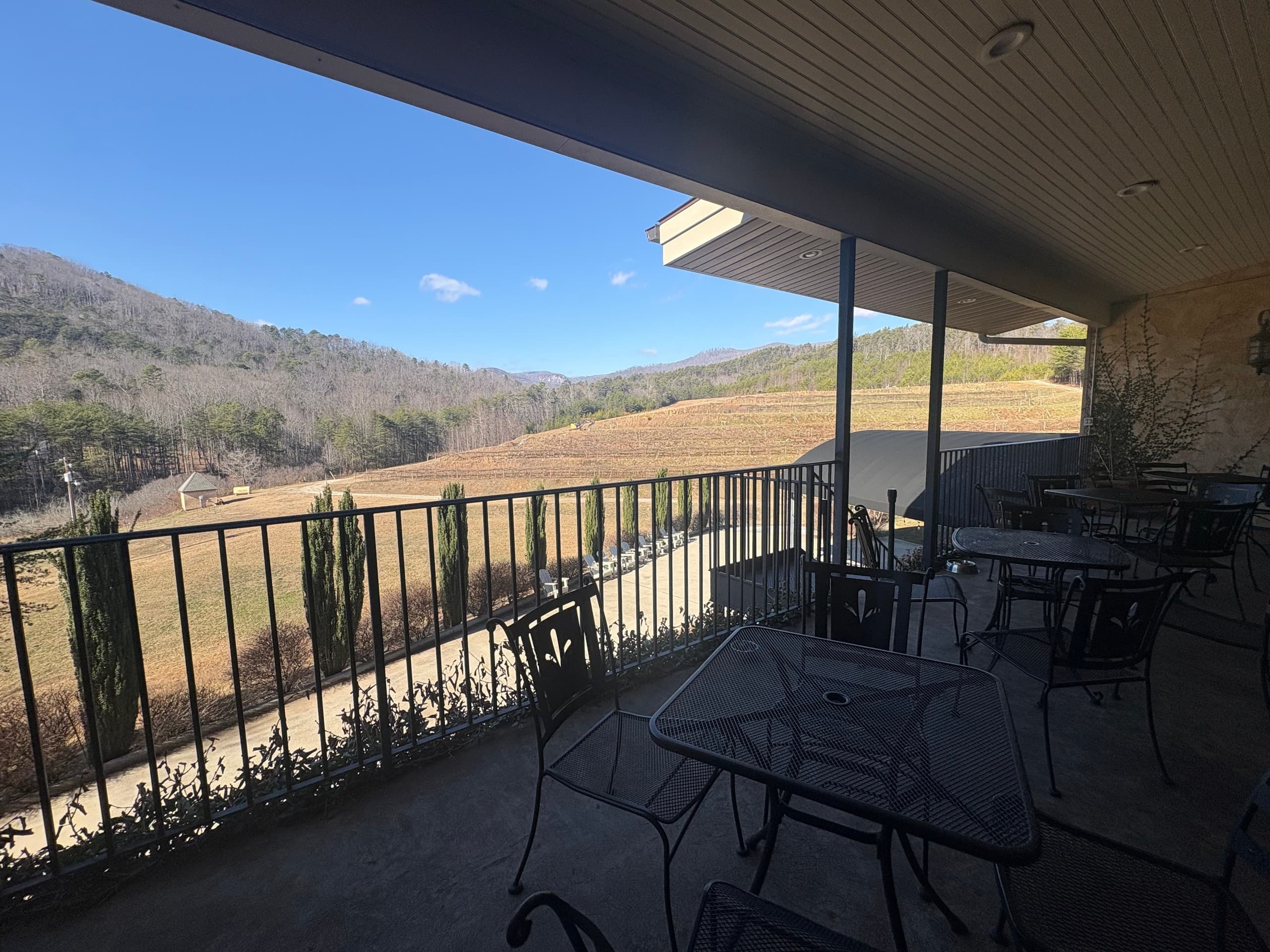 reserve-a-table-in-cleveland-sc-for-a-seamless-1-5-hour-vineyard-tasting photo 3