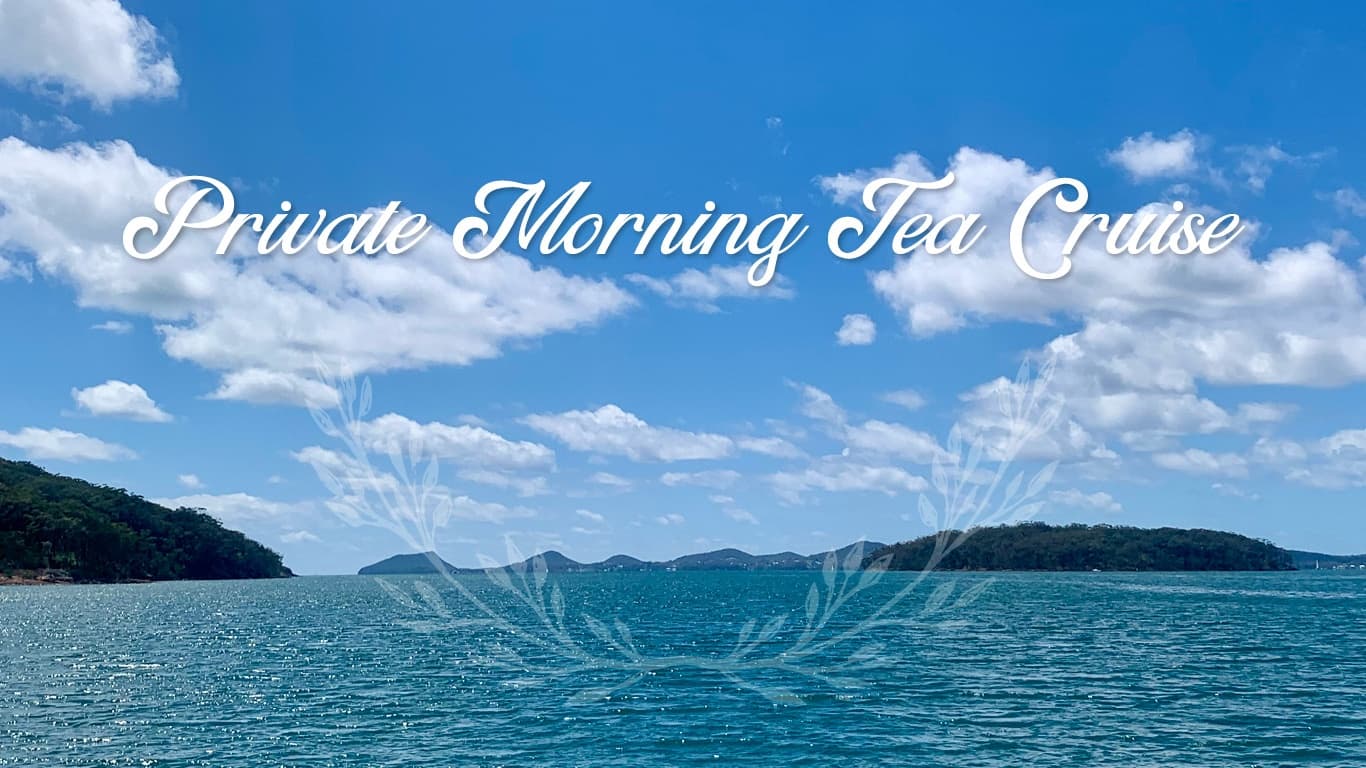 Morning Tea Cruise on Wangi Queen in Lemon Tree Passage