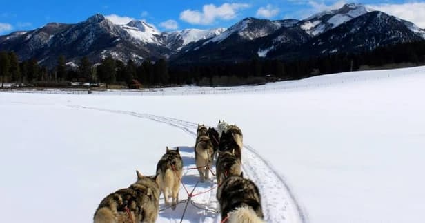 Dog sled team running across snowy San Juan mountain valley
