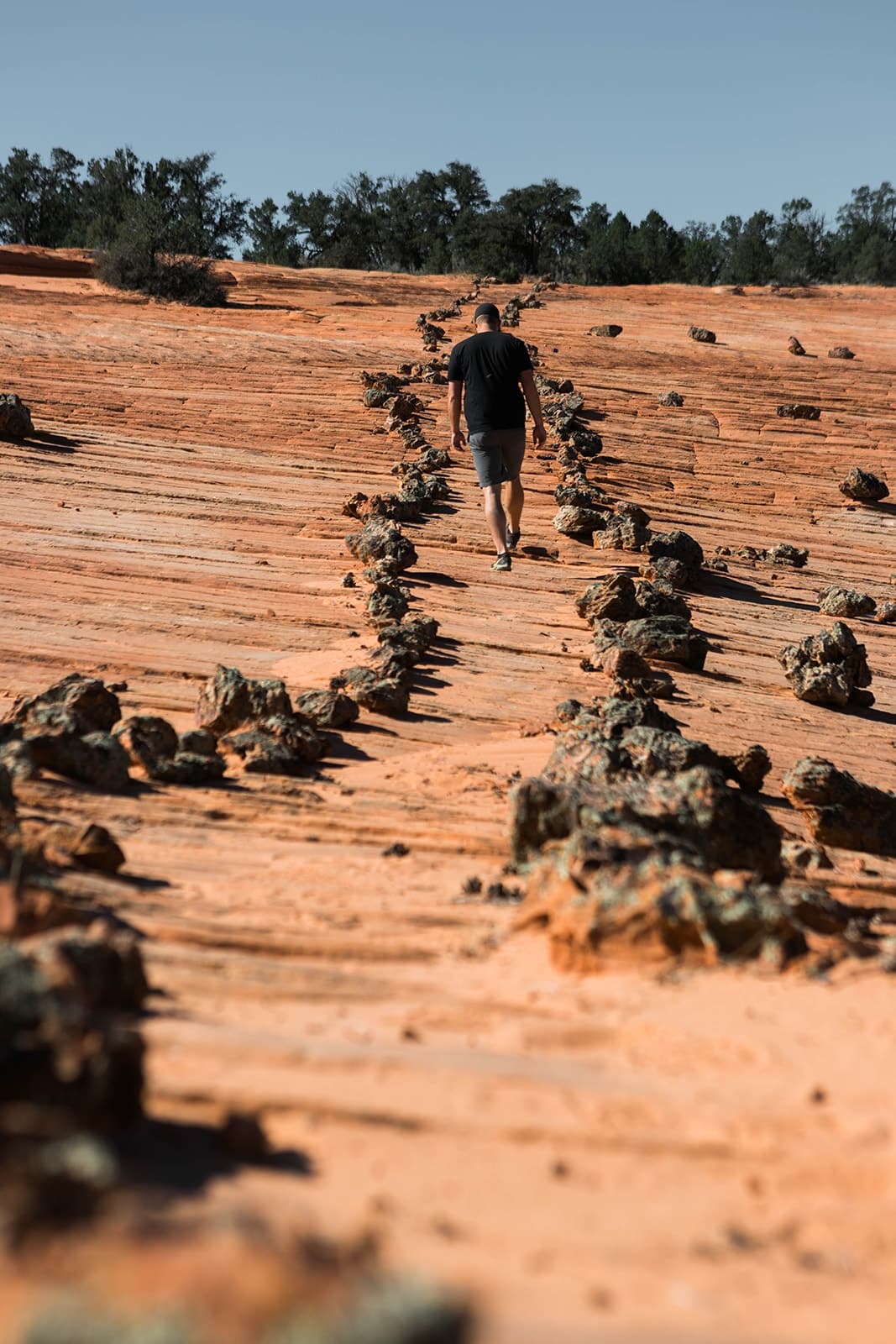 East Zion Outback UTV Adventure in Kanab, Utah
