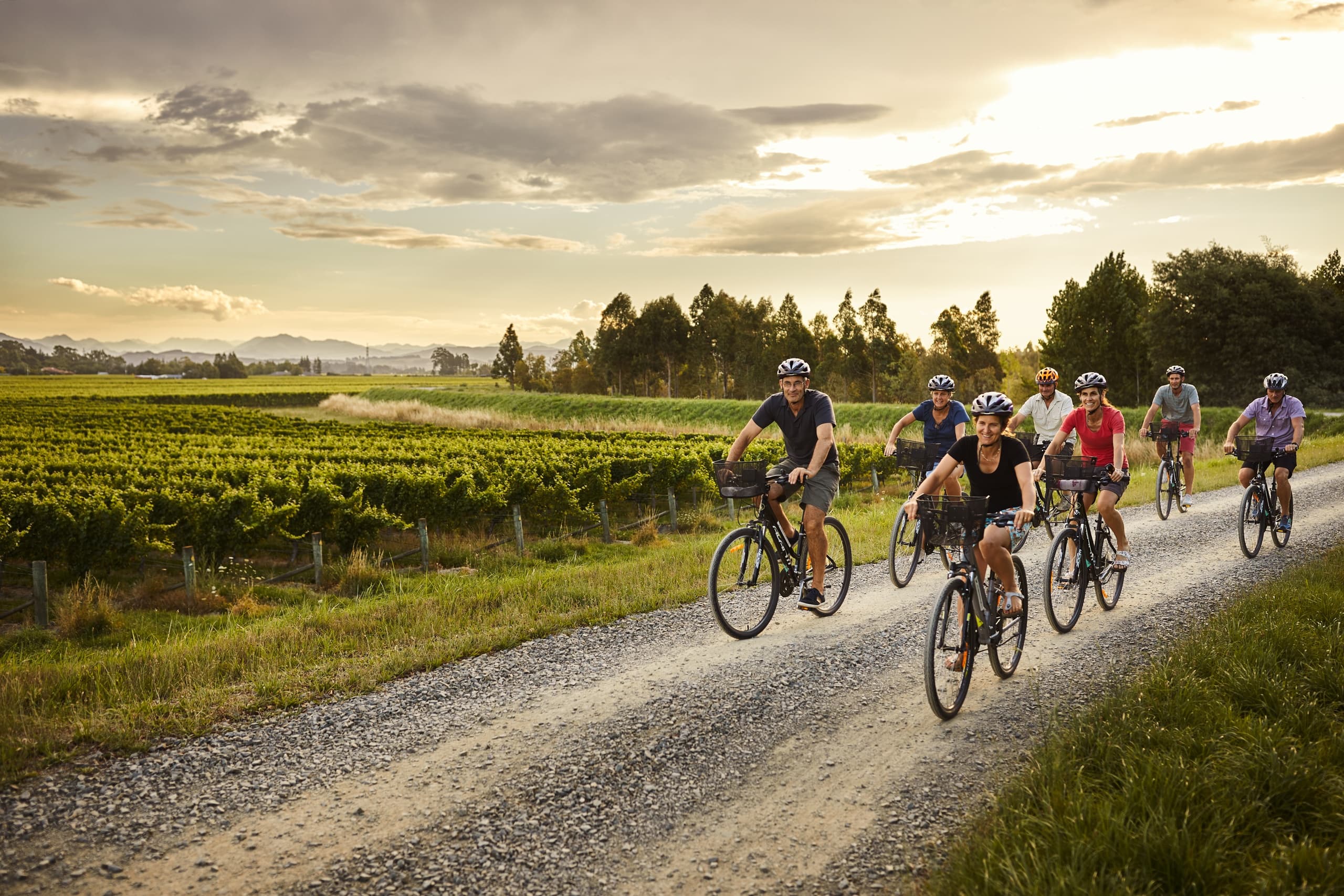 Land Adventures: Marlborough E-Biking & Wine Experience