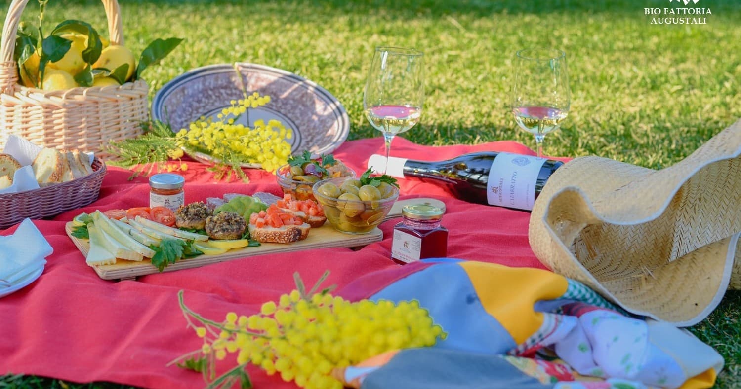 Picnic in the Vineyards | Guided Tour in Partinico | Food Tour, Farm, Winery, Wine